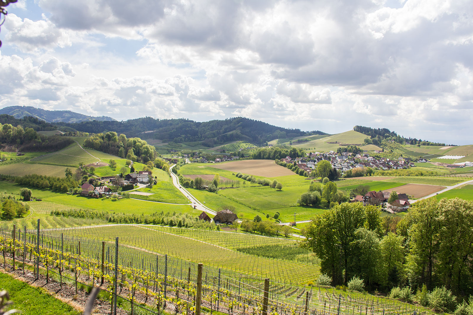 oberkirch-fewo-korberg.jpg