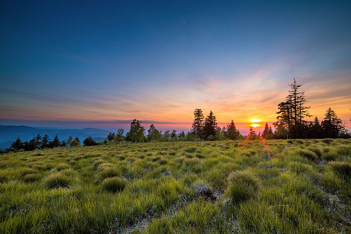Nationalpark Schwarzwald