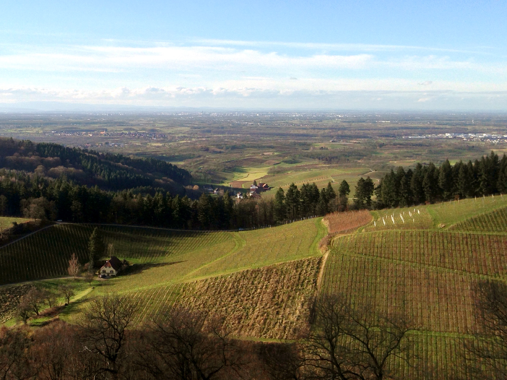 Rheinebene