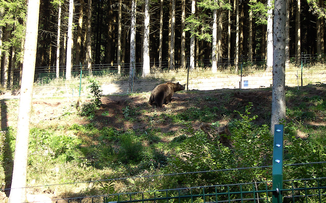 Bärenpark